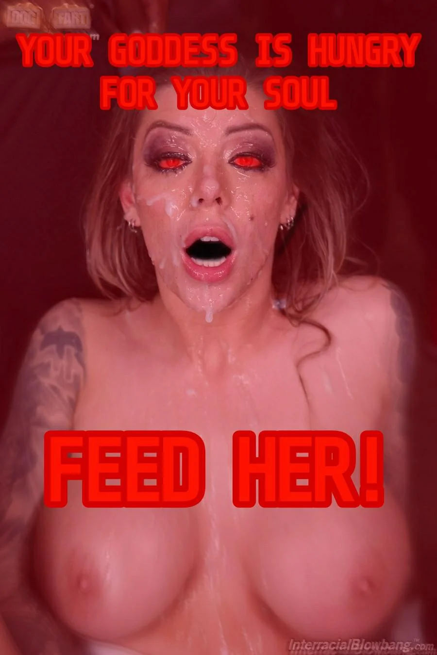 Feed - Image 1